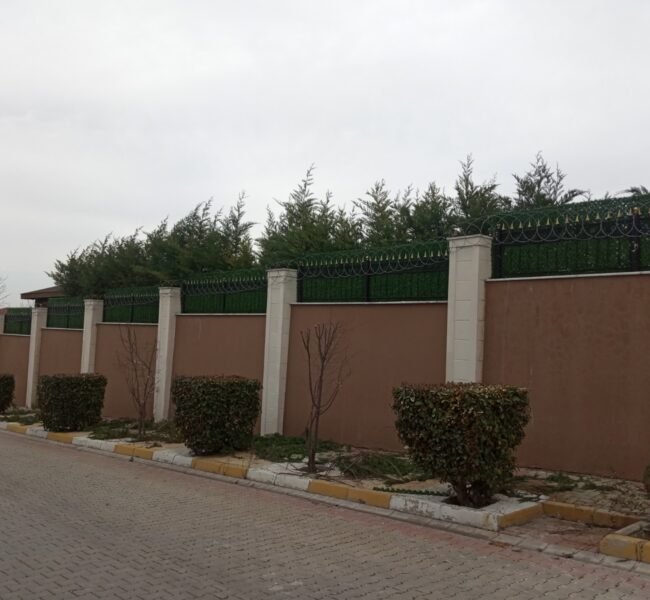 WhatsApp Image 2024-12-17 at 12.41.57_12341b3a