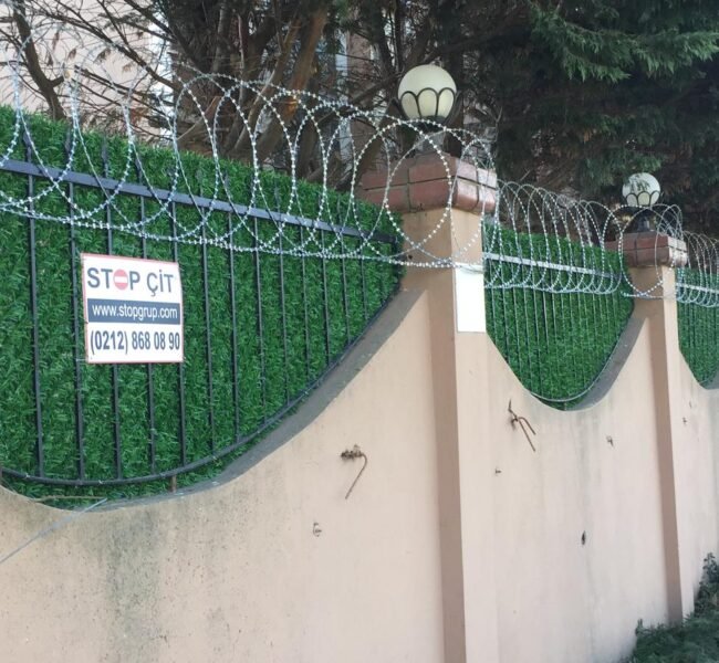 WhatsApp Image 2024-12-17 at 12.42.01_06b9507b