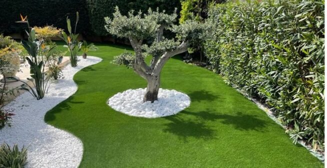 téléchargement (2)