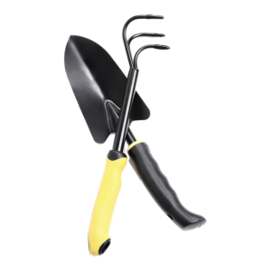 Succulent Plant in a  Plastic Pot