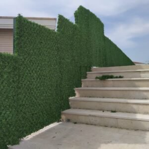 WhatsApp Image 2024-12-17 at 12.42.05_8212a11b